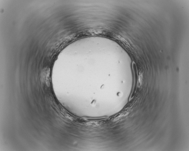 X0000088020867200706011322