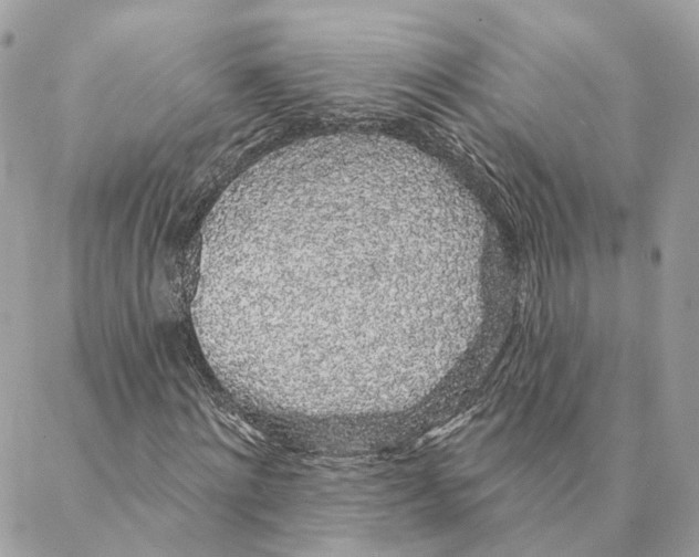 X0000088020868200706011322