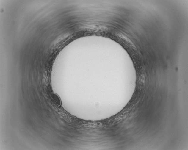 X0000088020869200706011322