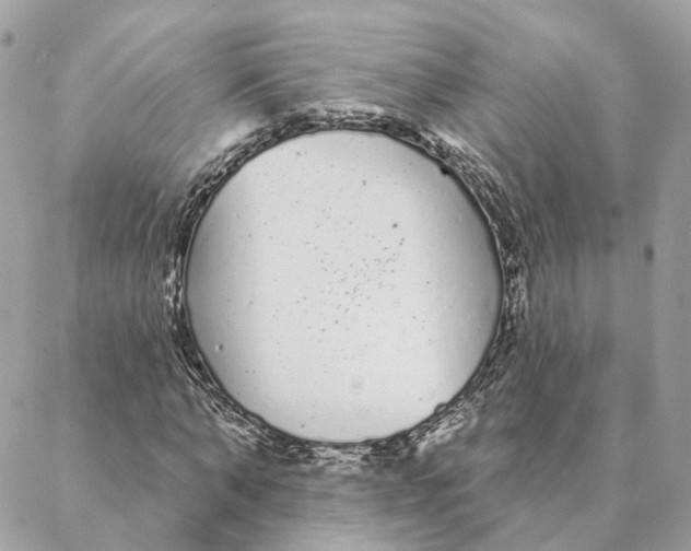 X0000088020870200706011322