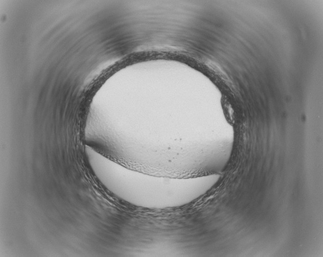 X0000088020872200706011322