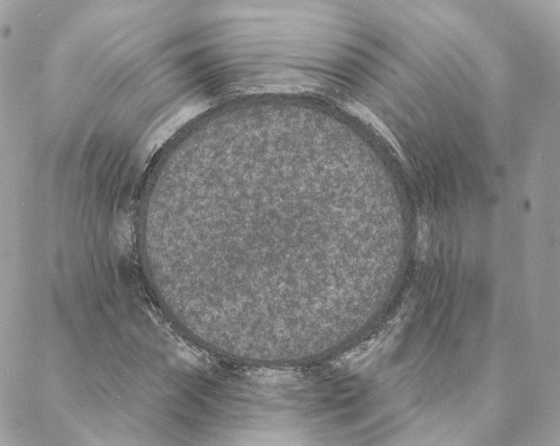 X0000088020874200706011322