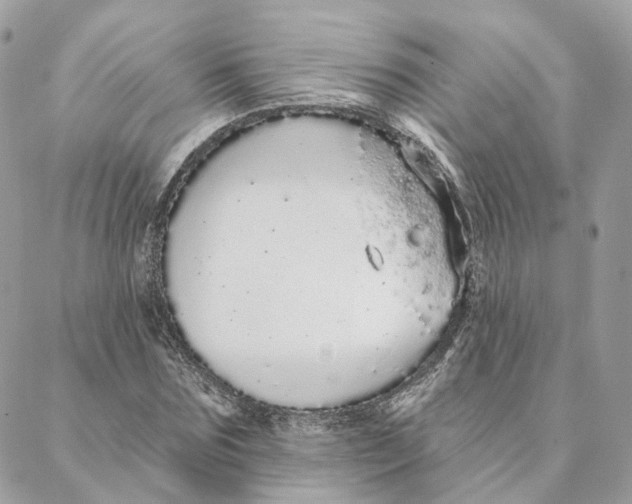 X0000088020875200706011322