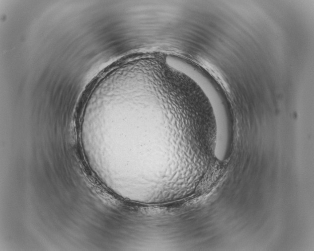 X0000088020876200706011322