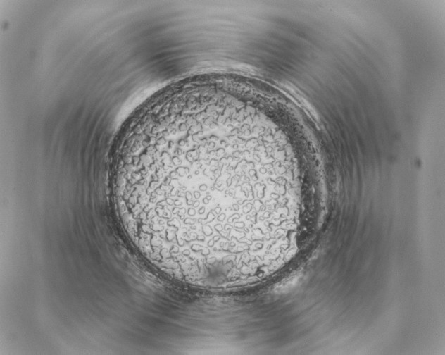 X0000088020877200706011322