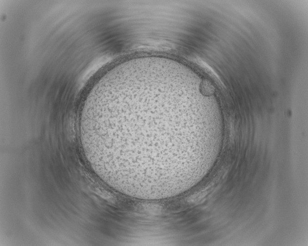 X0000088020878200706011321