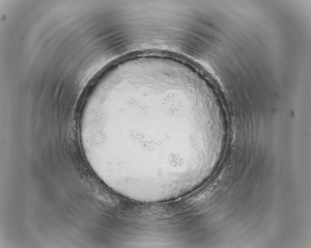 X0000088020879200706011321