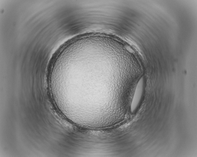 X0000088020880200706011321