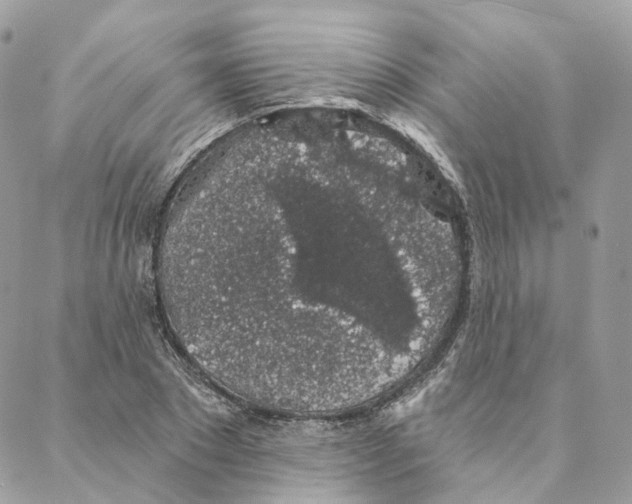 X0000088020881200706011321