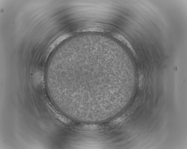 X0000088020882200706011321