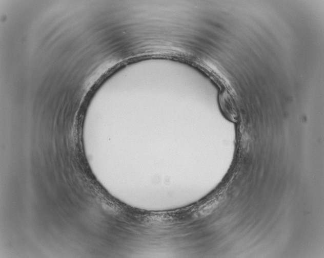 X0000088020883200706011321