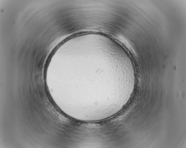 X0000088020884200706011321