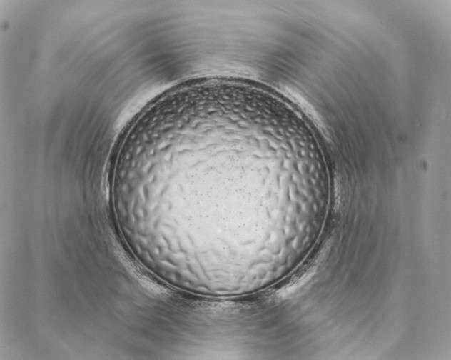 X0000088020885200706011321