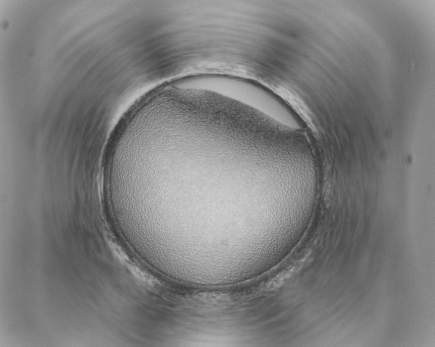 X0000088020888200706011321