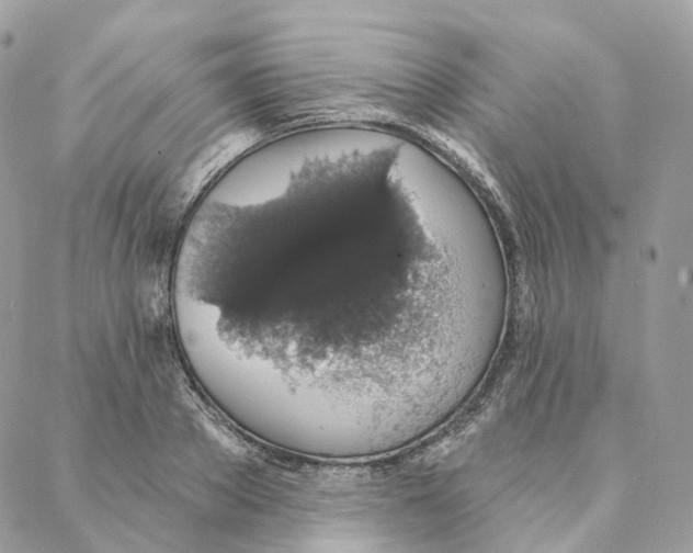 X0000088020889200706011321