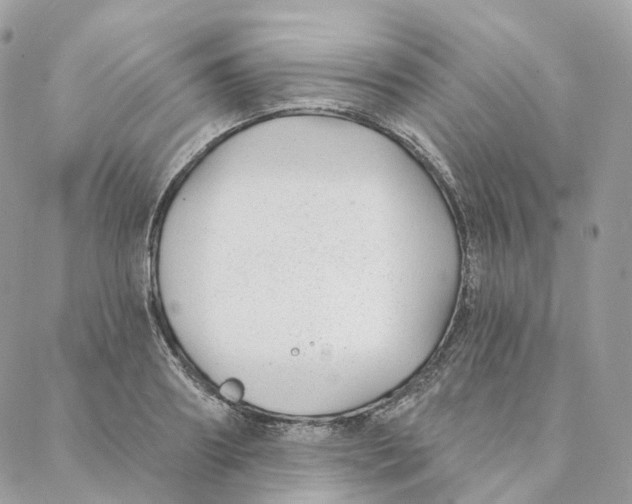 X0000088020890200706011321