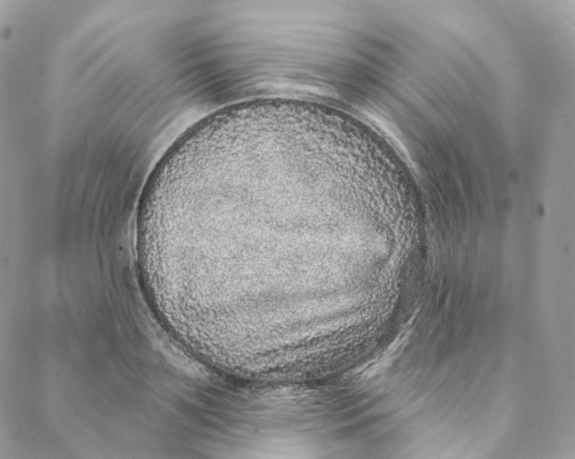 X0000088020891200706011321