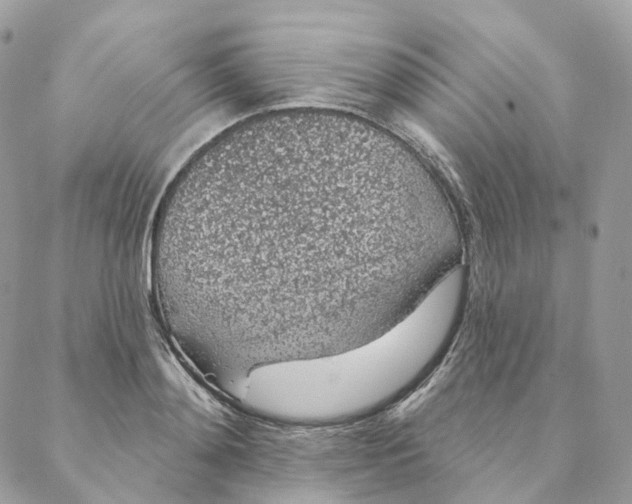 X0000088020892200706011321