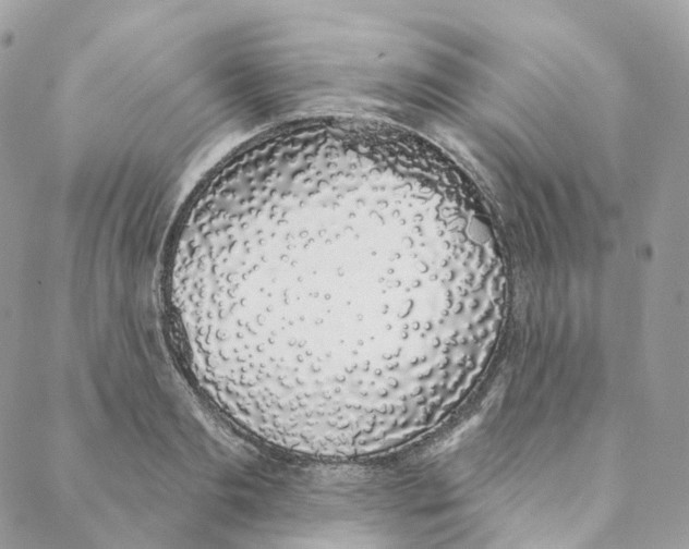 X0000088020893200706011321