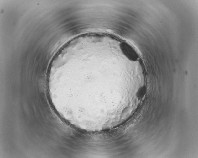 X0000088020895200706011321