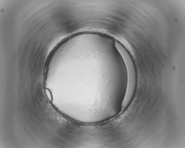 X0000088020896200706011321