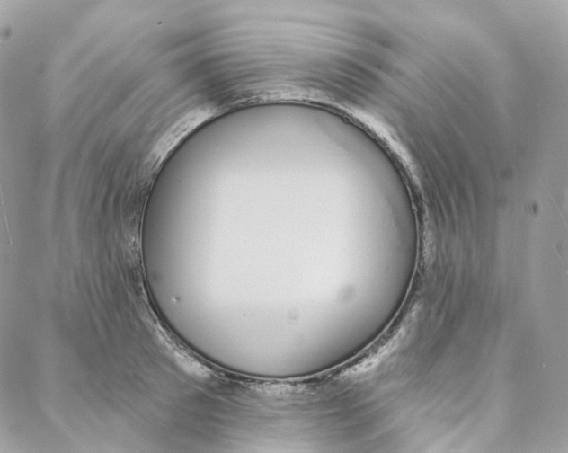 X0000088020897200706011321