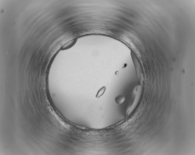 X0000088020898200706011321