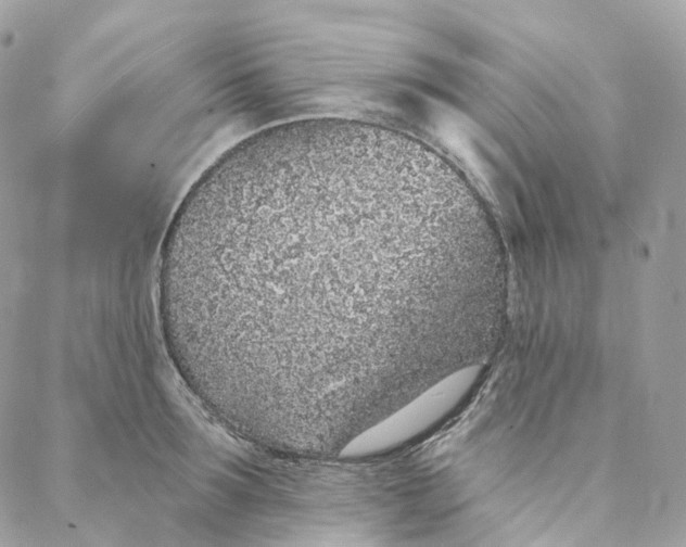 X0000088020899200706011321