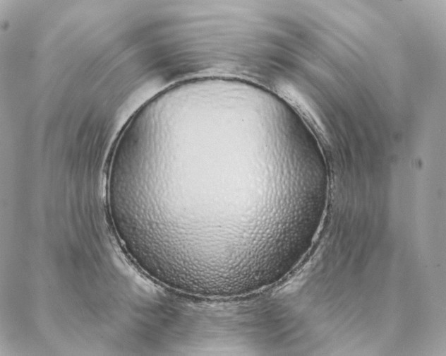 X0000088020900200706011321