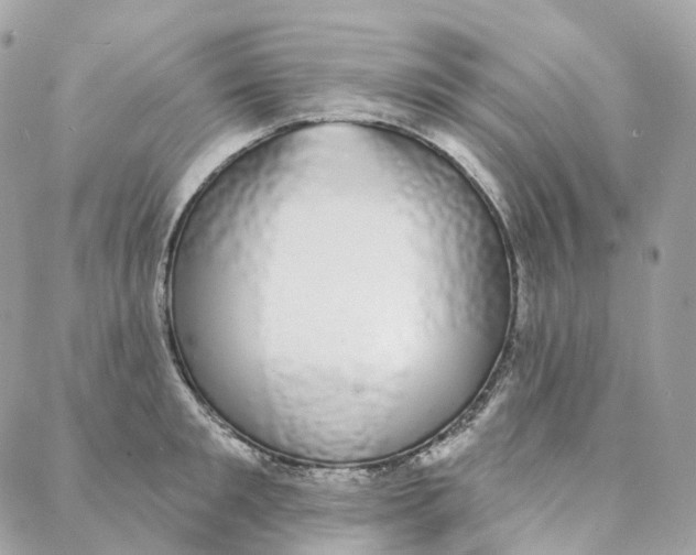 X0000088020901200706011321