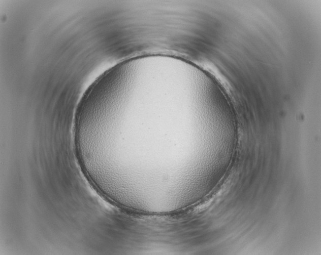 X0000088020902200706011321