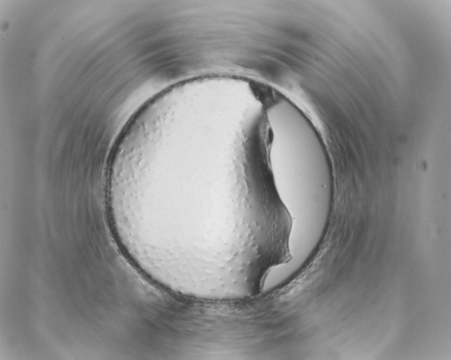 X0000088020903200706011321