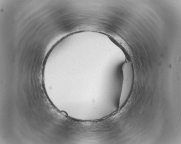 X0000088020904200706011321