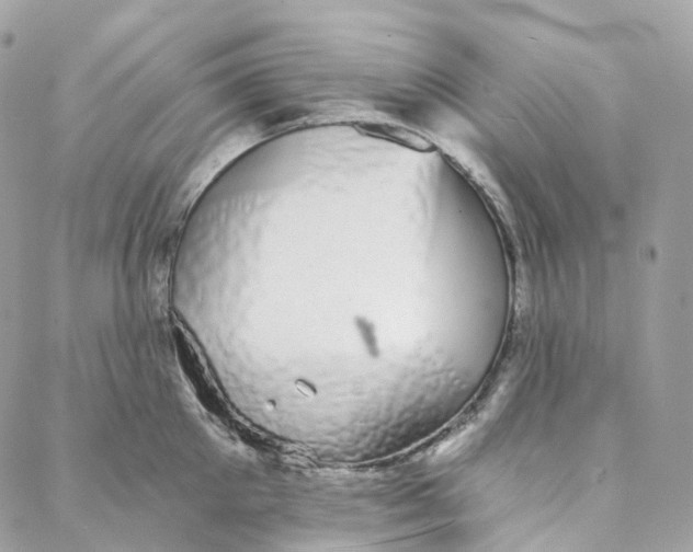 X0000088020905200706011321