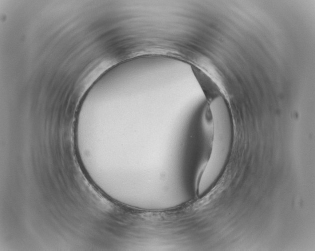 X0000088020906200706011321