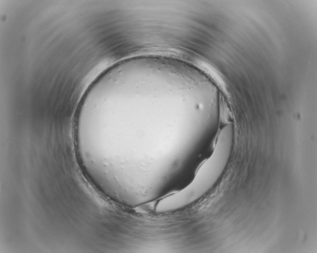 X0000088020907200706011321