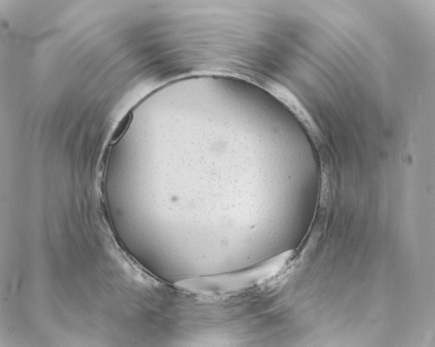 X0000088020908200706011321