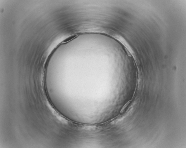 X0000088020909200706011321