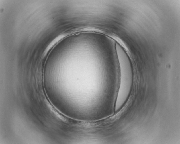 X0000088020910200706011321