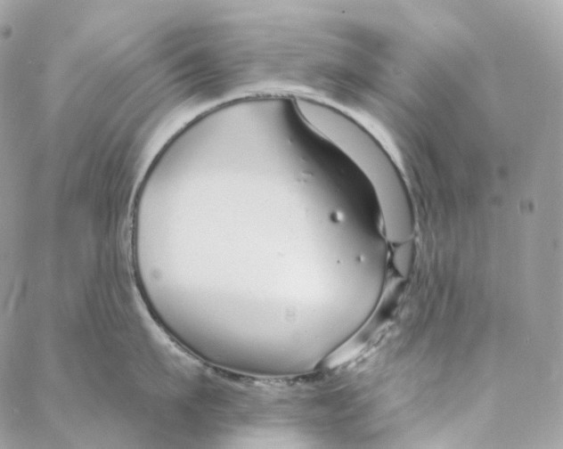 X0000088020911200706011321