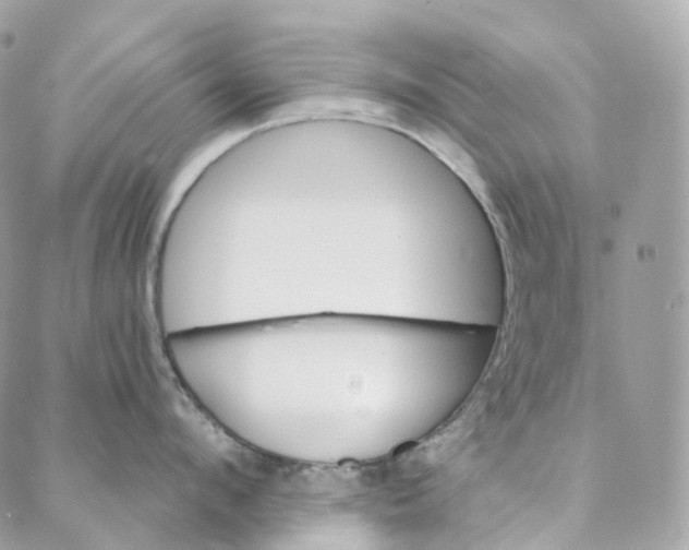 X0000088020912200706011321