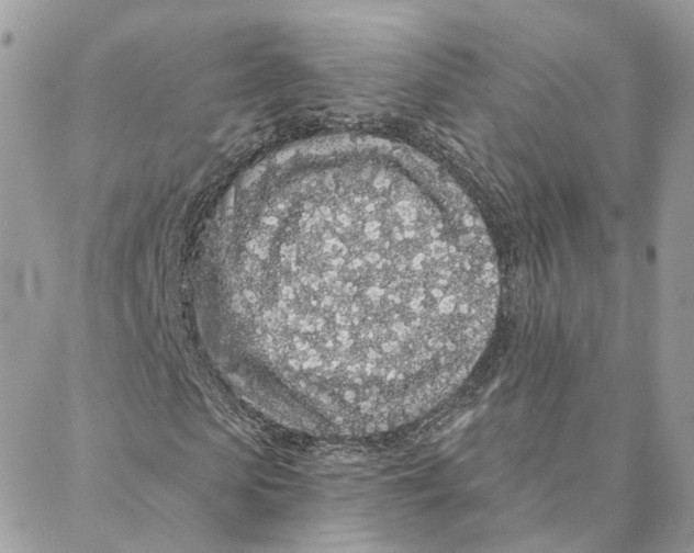 X0000088020913200706011320