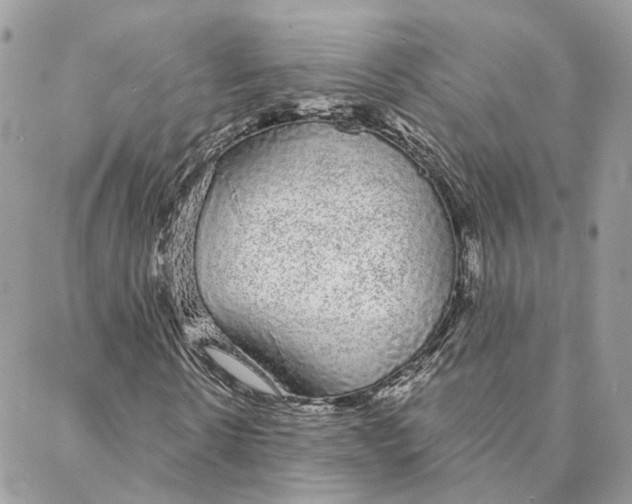 X0000088020914200706011320