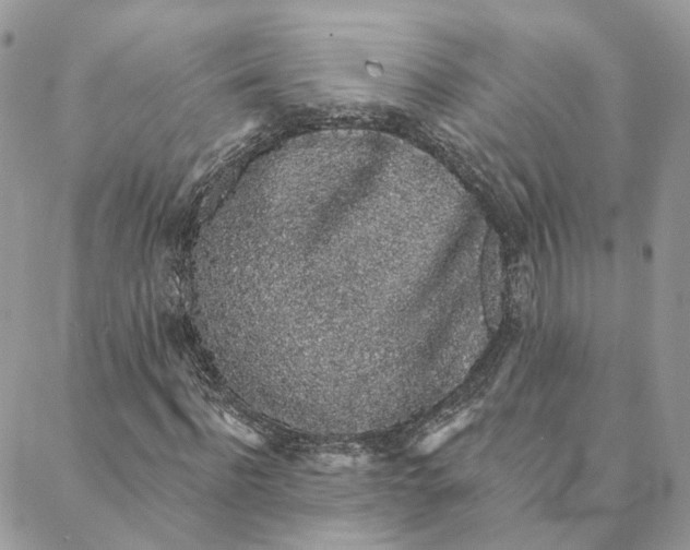 X0000088020916200706011320