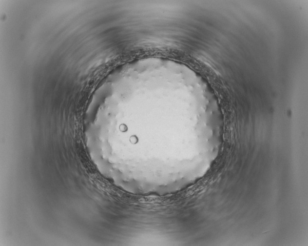 X0000088020917200706011320