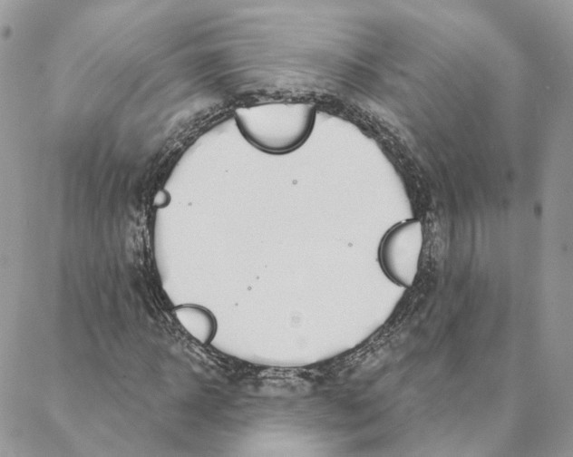 X0000088020918200706011320