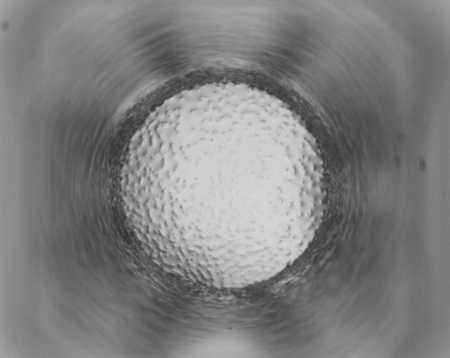 X0000088020919200706011320