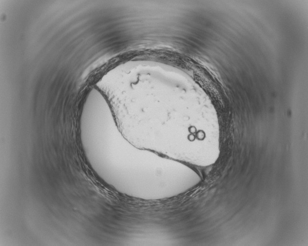 X0000088020920200706011320