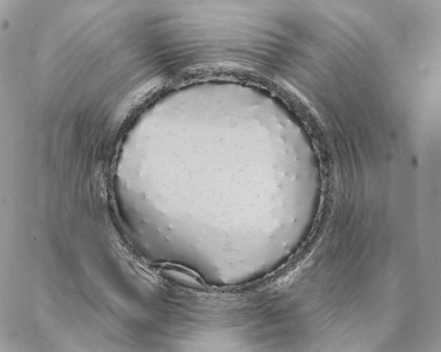 X0000088020921200706011320