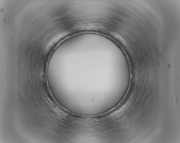 X0000088020922200706011320